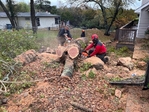 24/7 Tree Service