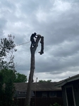 24/7 Tree Service