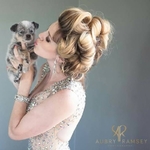 AKC REGISTERED BLUE HEELER PUPPIES