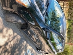 Pontiac Vibe